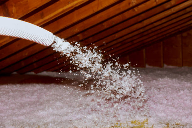 Best Insulation Inspection Services  in Sissonville, WV