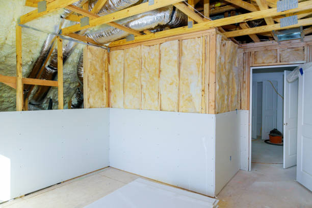 Best Cellulose Insulation  in Sissonville, WV