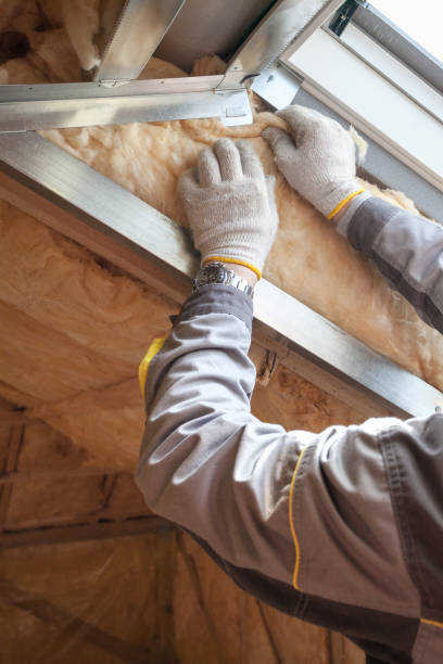 Best Residential Insulation Services  in Sissonville, WV