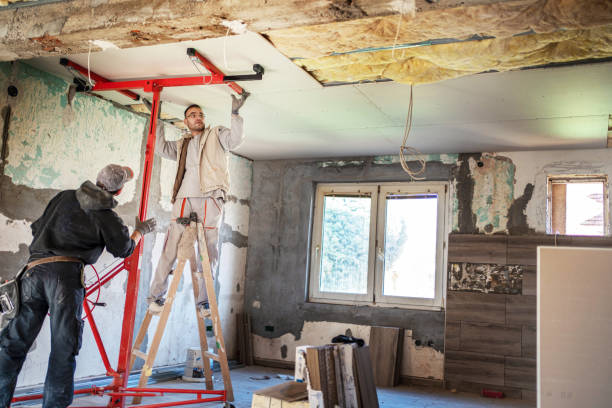 Best Insulation Contractor Near Me  in Sissonville, WV