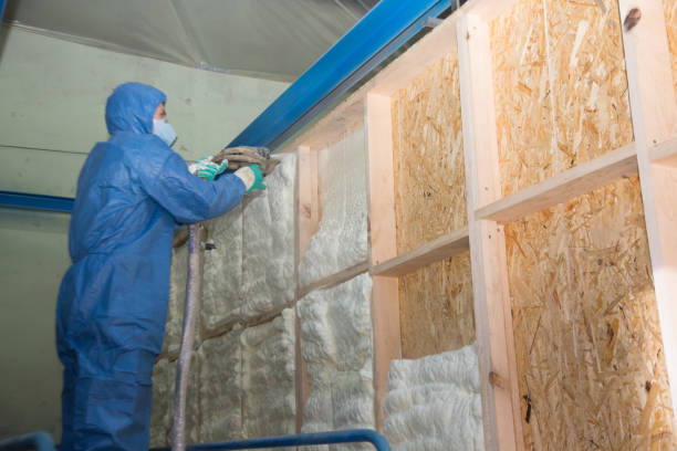 Best Soundproof Insulation Installation  in Sissonville, WV
