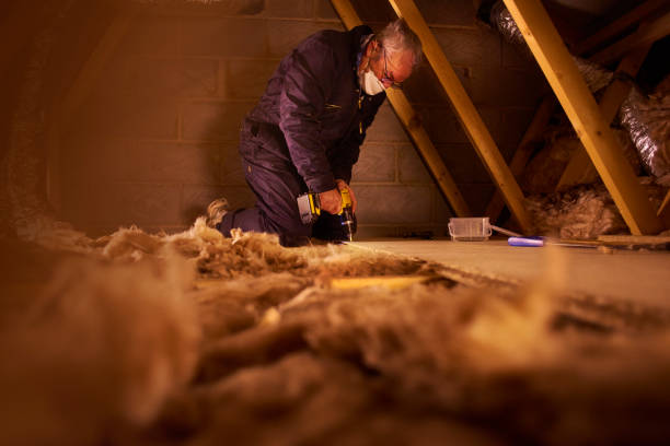 Insulation Inspection Services in Sissonville, WV